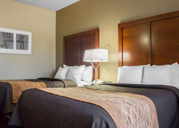 Hotel Comfort & Near Kino Sports Complex