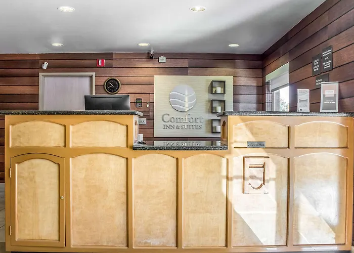 Comfort & Near Kino Sports Complex Hotel