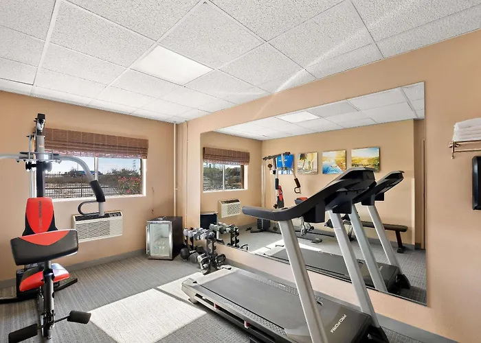 Comfort & Near Kino Sports Complex