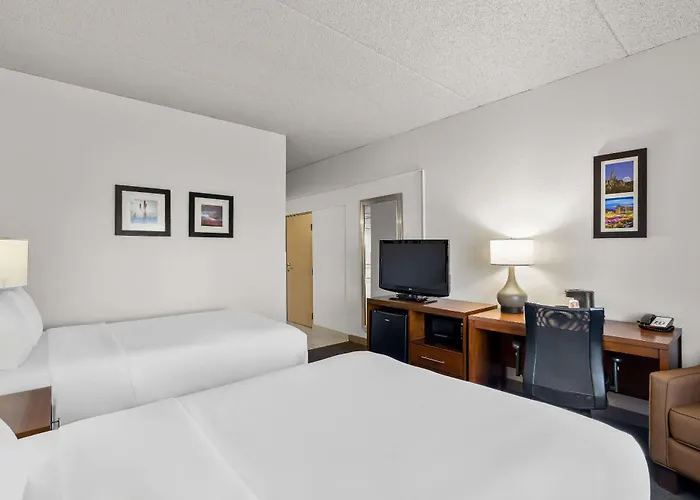 Hotel Comfort & Near Kino Sports Complex