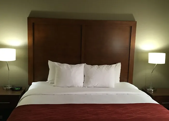 Comfort & Near Kino Sports Complex Hotel 4*