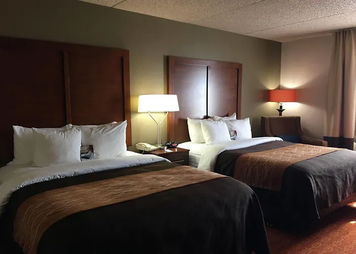 Comfort & Near Kino Sports Complex 4*
