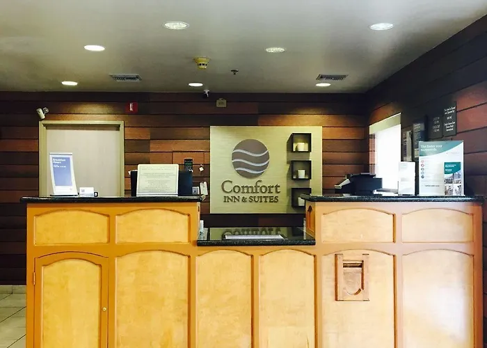 Comfort & Near Kino Sports Complex